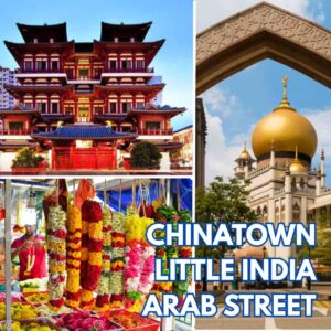 4-Hour Chinatown, Little India & Arab Street Walking Tour