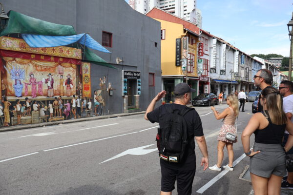 4-Hour Chinatown, Little India & Arab Street Walking Tour - Image 4