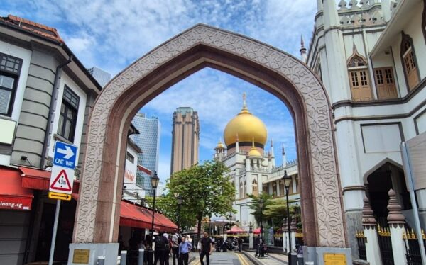 3Hour Singapore Highlights: Raffles Hotel, Arab Street & Little India Walk - Image 3