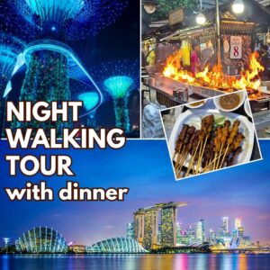 3.5 Hour Street Food, Marina Bay & Gardens Light Show