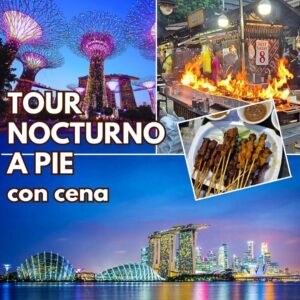 Tour a Pie de 3.5 Horas: Comida callejera, Marina Bay y espectáculo de luces en Gardens