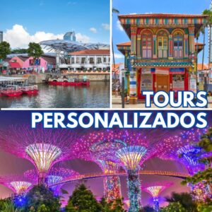 Tour privado personalizado con un guía local