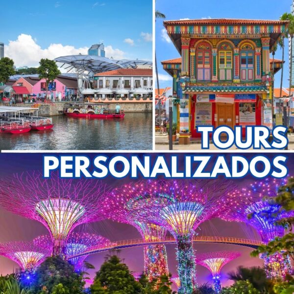 Tour privado personalizado con un guía local