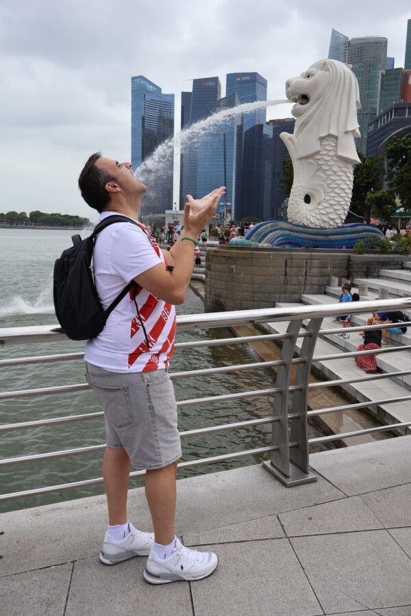 Tour a pie de 4 horas: De Chinatown y el Distrito Cívico Histórico hasta Marina Bay y Gardens by the Bay - Image 5