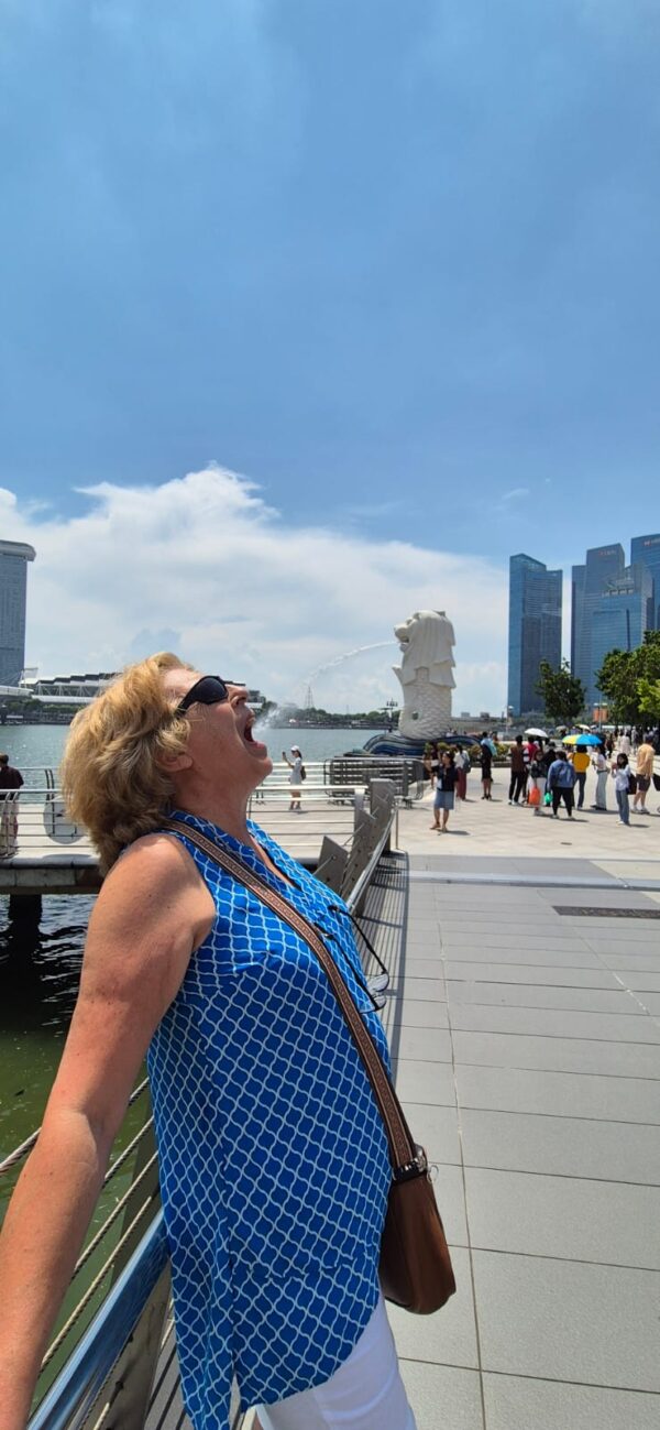4Hour Chinatown, Historic Civic District to Marina Bay & Gardens Walking Tour - Image 8
