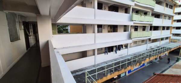 4Hour Singapore Then & Now: From Chinatown to Visiting A Real HDB Home - Image 6