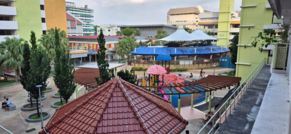 4Hour Singapore Then & Now: From Chinatown to Visiting A Real HDB Home - Image 7