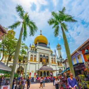 4.5h Chinatown, Raffles Hotel, Merlion, Arab Street Walking Tour - Image 10